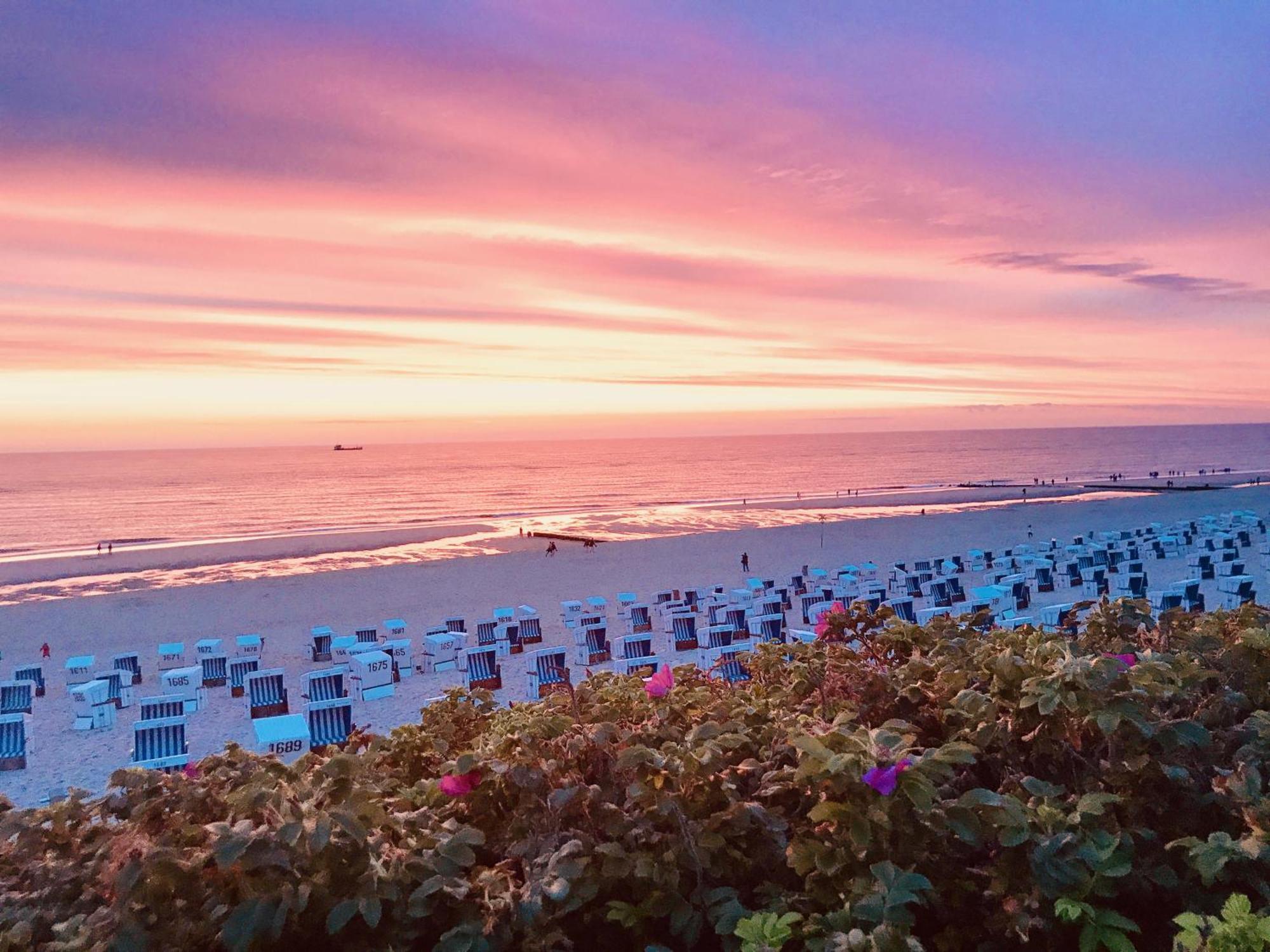 Fugl Hus * Westerland